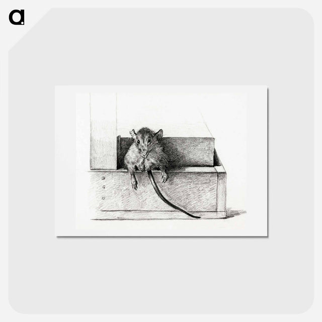 アートポストカード-Mouse - ジャン ベルナール Postcard.