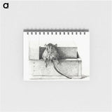 2-95_Jean-Bernard_memo