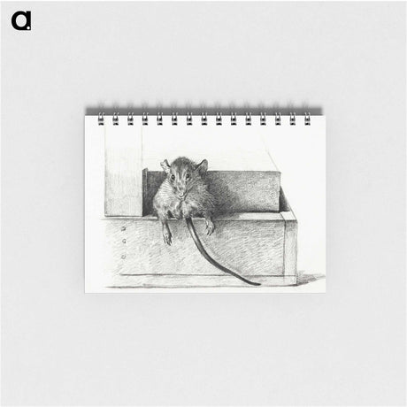 2-95_Jean-Bernard_memo