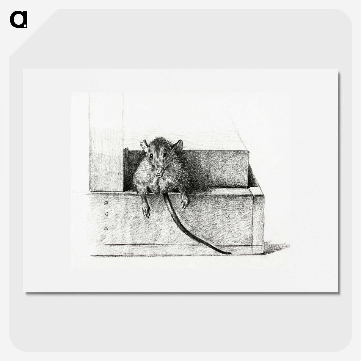2-95_Jean-Bernard_picture