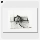 2-95_Jean-Bernard_picture