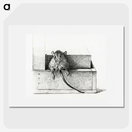 2-95_Jean-Bernard_picture