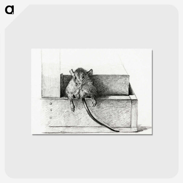 2-95_Jean-Bernard_postcard