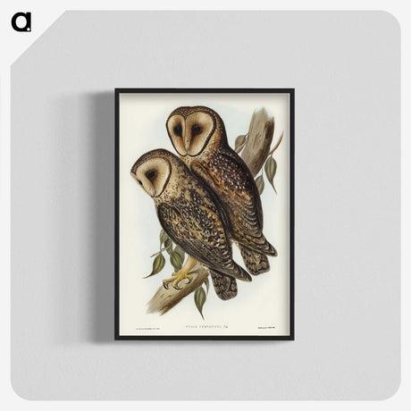 2-95_John-Gould_blk-crop
