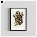 2-95_John-Gould_blk