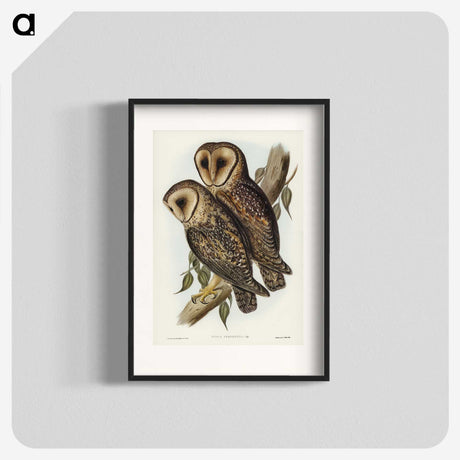 2-95_John-Gould_blk