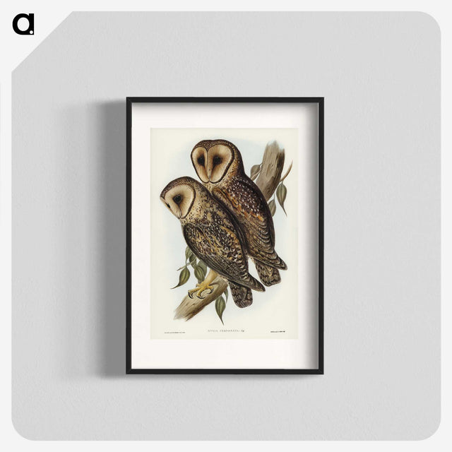 2-95_John-Gould_blk