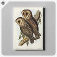 2-95_John-Gould_canvas