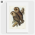 2-95_John-Gould_picture