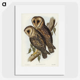 2-95_John-Gould_picture