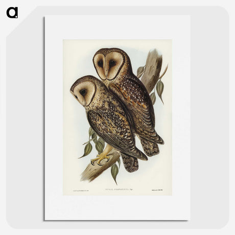 2-95_John-Gould_picture