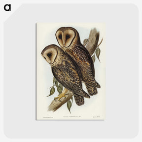 2-95_John-Gould_postcard
