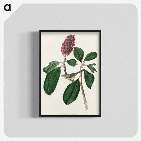 2-95_John-James-Audubon_blk-crop