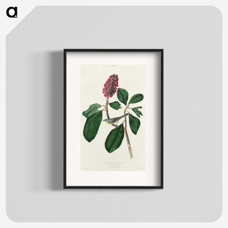2-95_John-James-Audubon_blk
