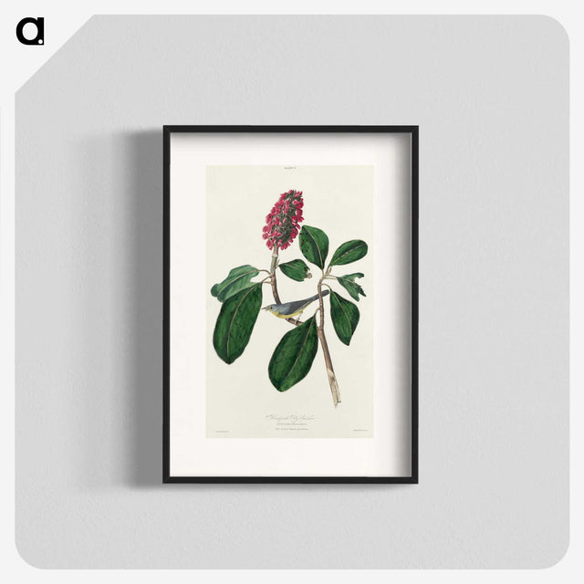 2-95_John-James-Audubon_blk