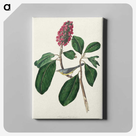 2-95_John-James-Audubon_canvas