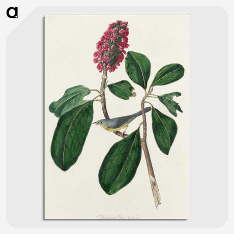 2-95_John-James-Audubon_picture-crop