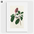 2-95_John-James-Audubon_picture