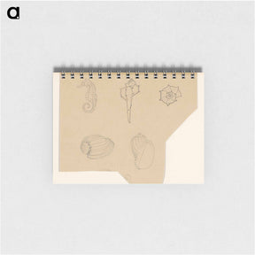 アートメモ帳-Studieblad met schelpen en een zeepaardje - ユリー デ フラーハ Memo.