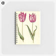 2-95_Maria-Sibylla-Merian_memo