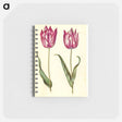 アートメモ帳-Tulipa gesneriana
 - マリア ジビーラ メーリアン Memo.