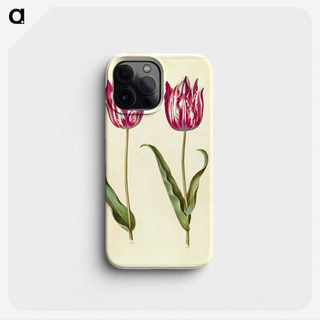 2-95_Maria-Sibylla-Merian_phone