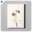2-95_Mary-Vaux-Walcott_canvas
