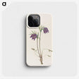2-95_Mary-Vaux-Walcott_phone