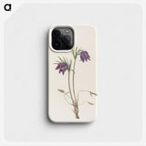 2-95_Mary-Vaux-Walcott_phone
