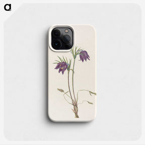 2-95_Mary-Vaux-Walcott_phone