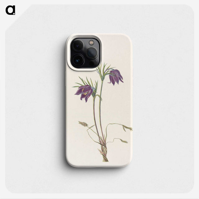 2-95_Mary-Vaux-Walcott_phone