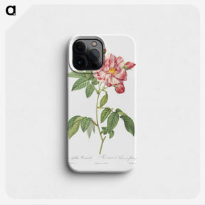 2-95_Pierre-Joseph-Redoute_phone
