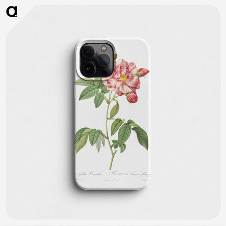 2-95_Pierre-Joseph-Redoute_phone