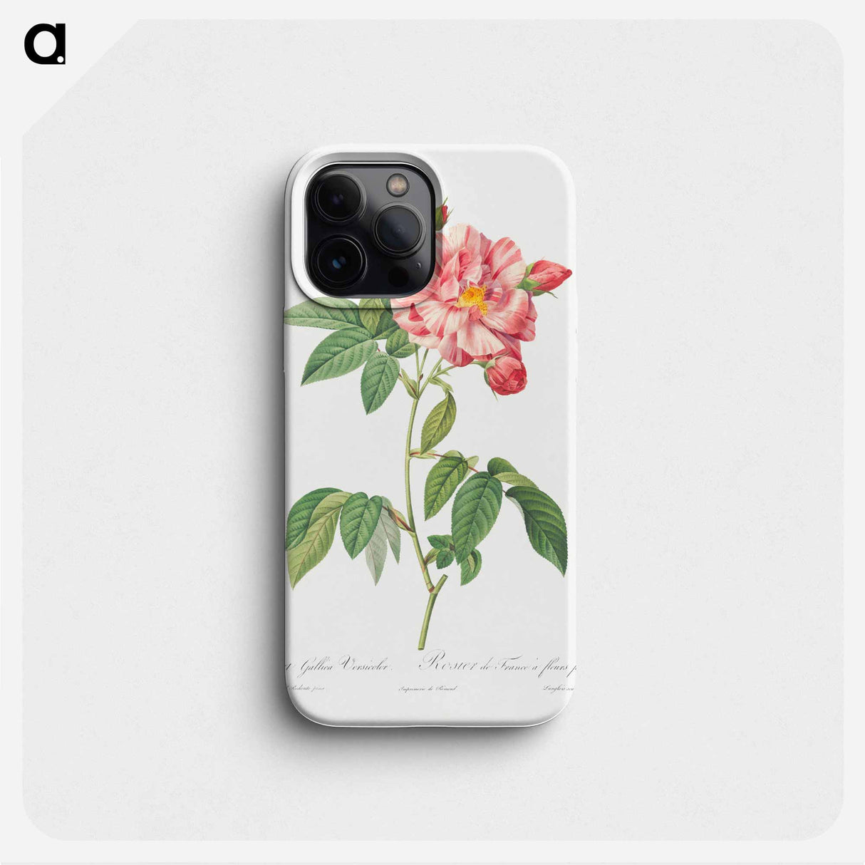 Rosa Mundi, French Rosebush with Varigated Flowers - Pierre Joseph Redouté Phone Case.