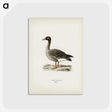 2-95_Svenska-Faglar_postcard