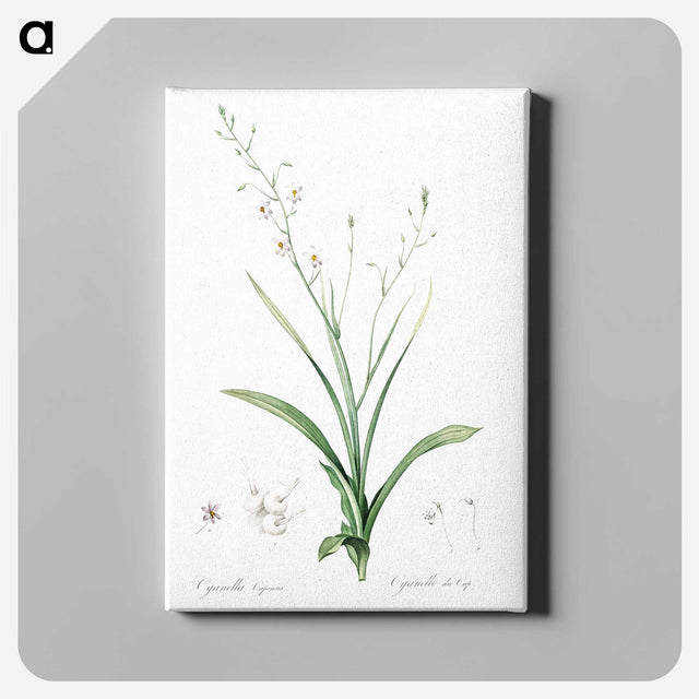2-95_The-Lilies_canvas