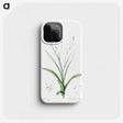 2-95_The-Lilies_phone