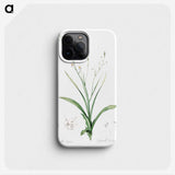 2-95_The-Lilies_phone