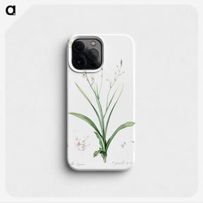 2-95_The-Lilies_phone
