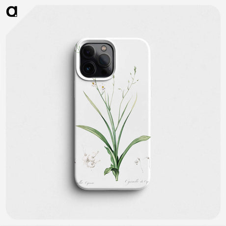 2-95_The-Lilies_phone