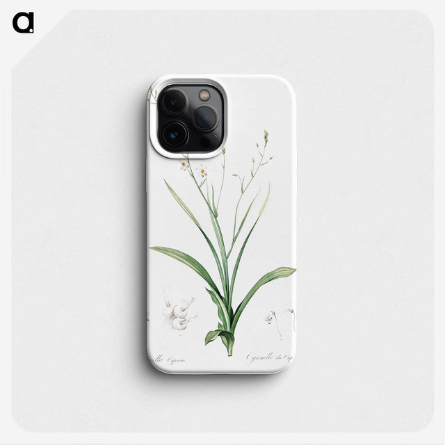 2-95_The-Lilies_phone