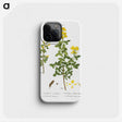 2-95_Treatise-on-Trees-and-Shrubs_phone
