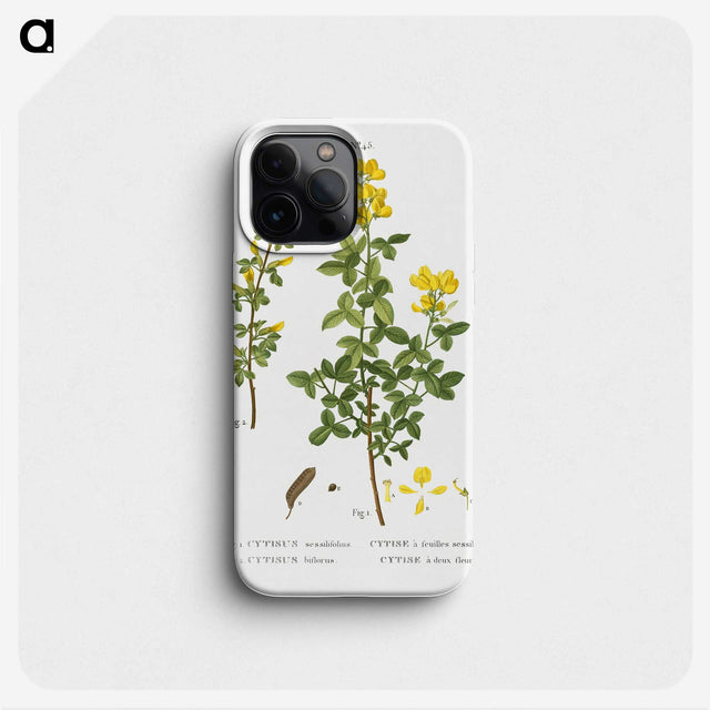 2-95_Treatise-on-Trees-and-Shrubs_phone