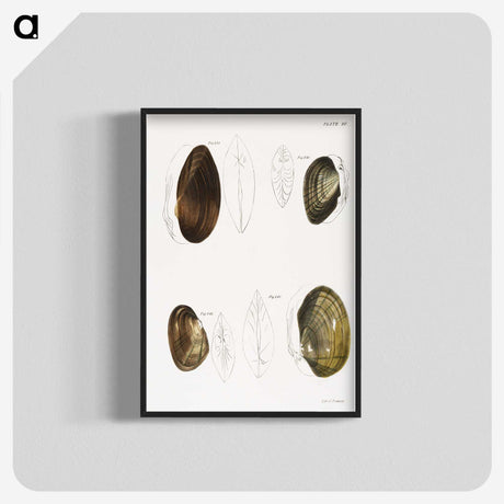 2-95_Zoology-of-New-York_blk-crop