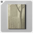 2-96_Alfred-Stieglitz_canvas