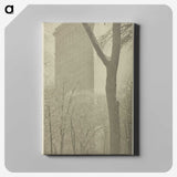 2-96_Alfred-Stieglitz_canvas