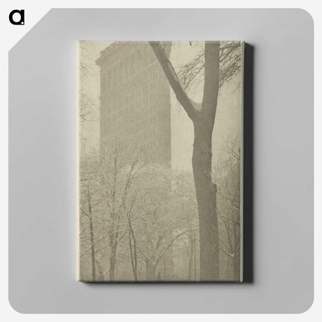 2-96_Alfred-Stieglitz_canvas