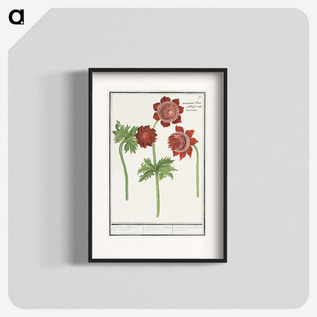 2-96_Anselmus-Boetius-de-Boodt_blk
