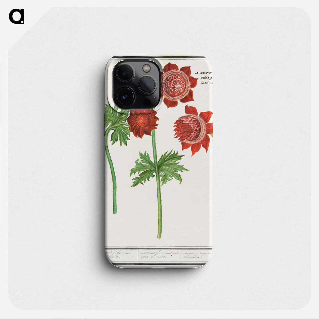 Anemone, Anemone - アンセルムス ボエティウス デ ブート Phone Case.