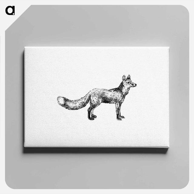 アートパネル-Cur Fox
 - 大英図書館 Canvas.